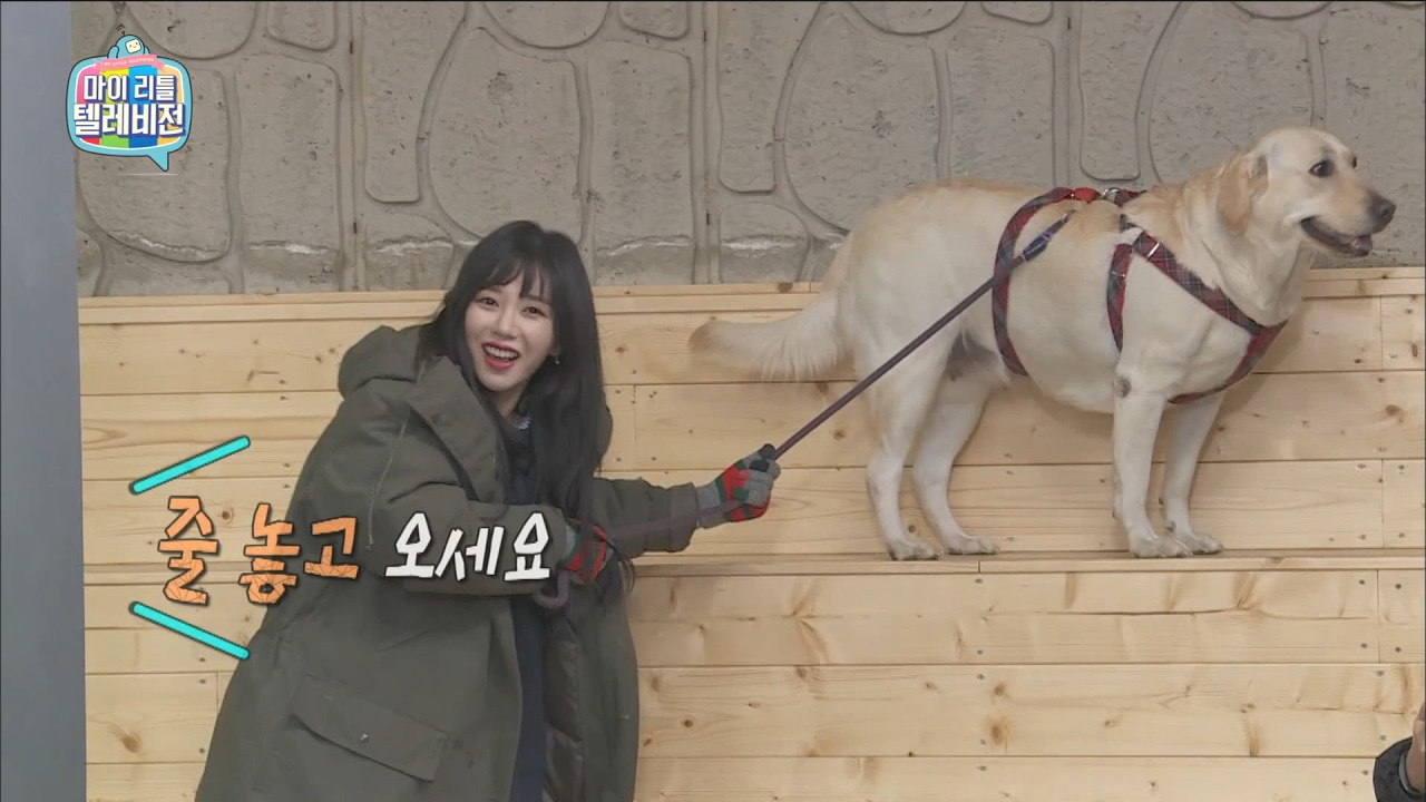 【TVPP】AOA - AOA's pets out of control!, 등장과 동시에 앵글 밖으로.. '통제불가' @MLT