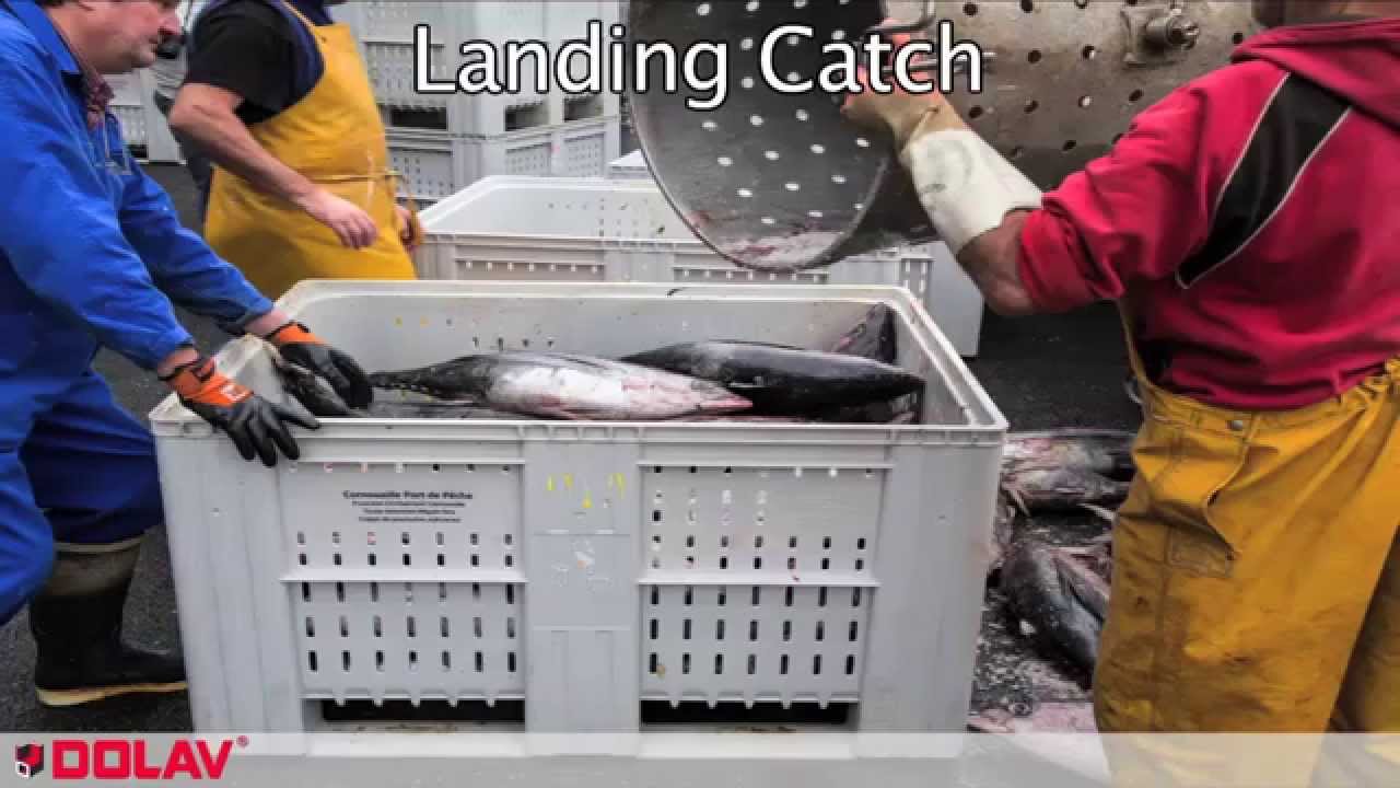 Cool chain box reduces weight & cost - Seafood Expo 2014 Dolav Showreel