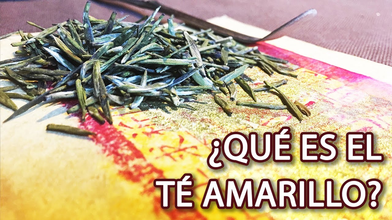 ¿Qué es Té Amarillo (Huang Cha)?