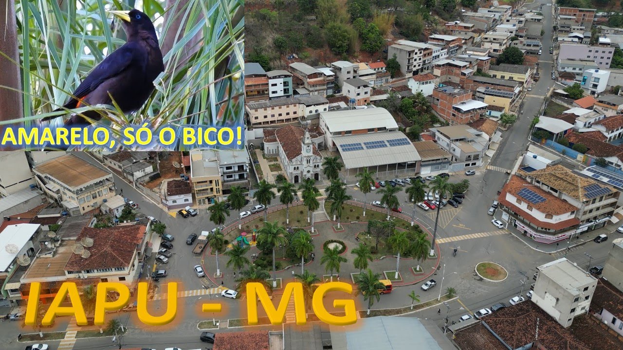 Um pouco sobre Iapu - MG