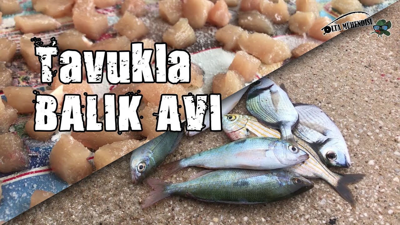 Тактика приготовления корма для рыбы из куриной грудки
