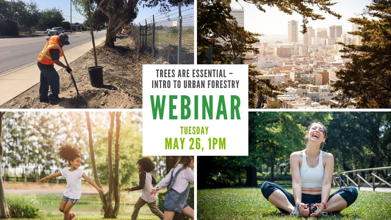 Trees are Essential &ndash; Intro to Urban Forestry