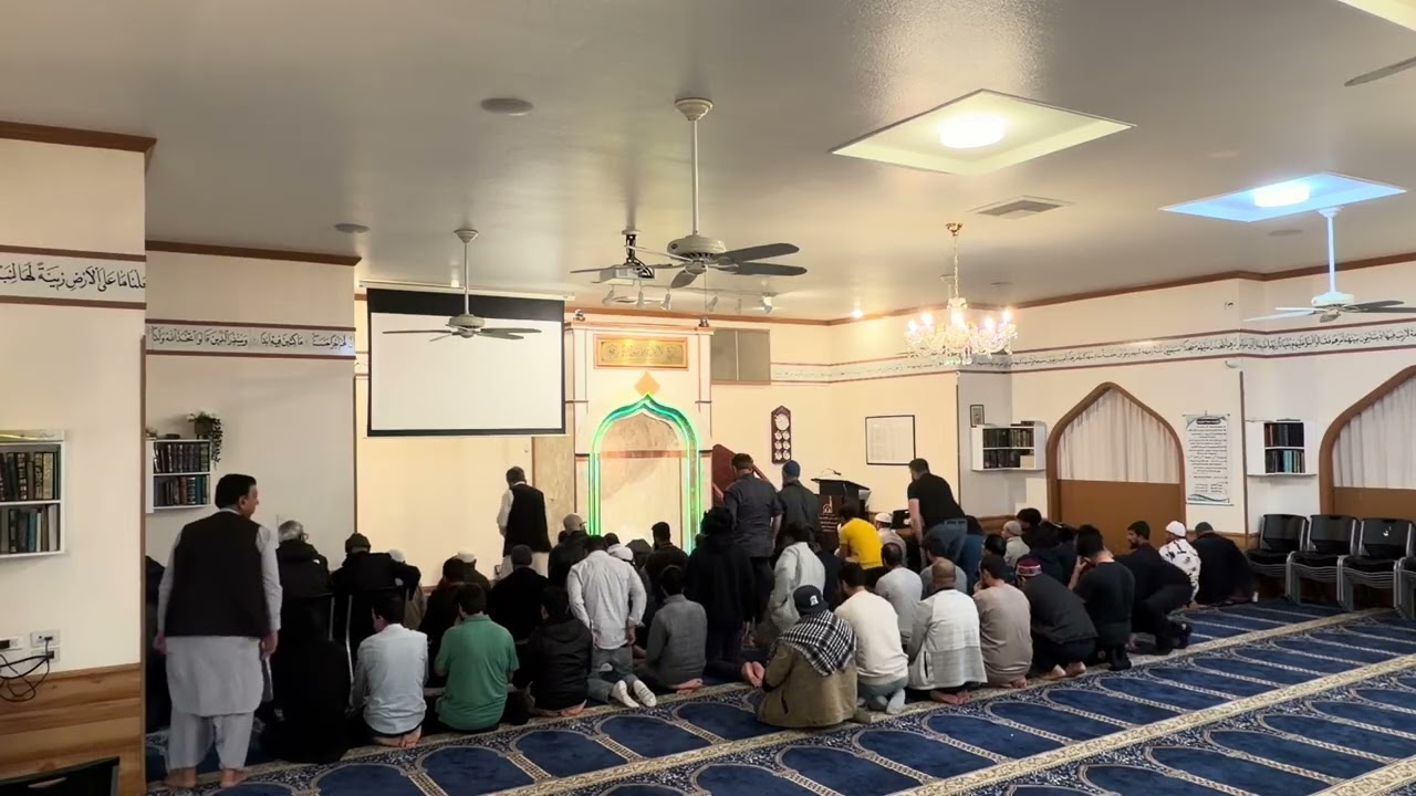 Taraweeh 2026 twenty-second night سورة الزمر و غافر و فصلت 