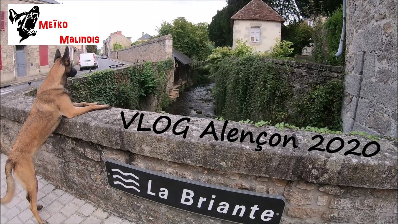 VLOG Alençon 2020