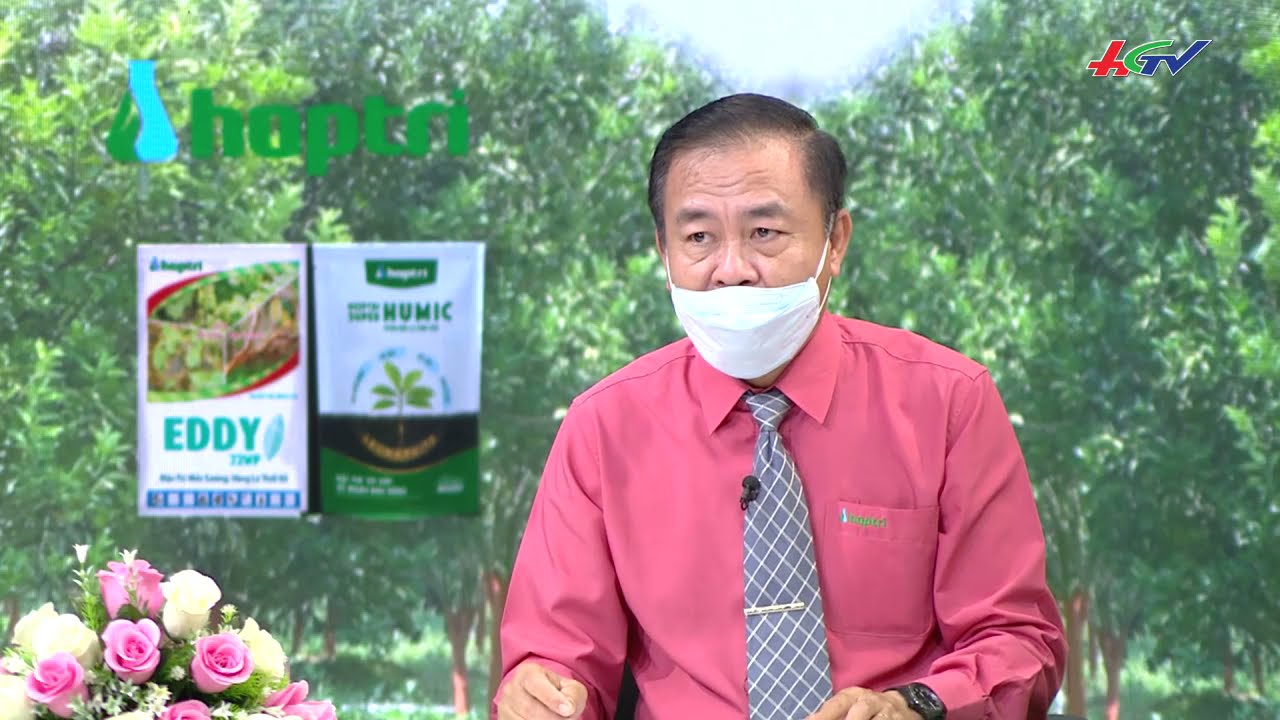 Tọa đàm: Phòng trừ bệnh vàng lá thối rễ trên cây ăn trái đầu mùa mưa