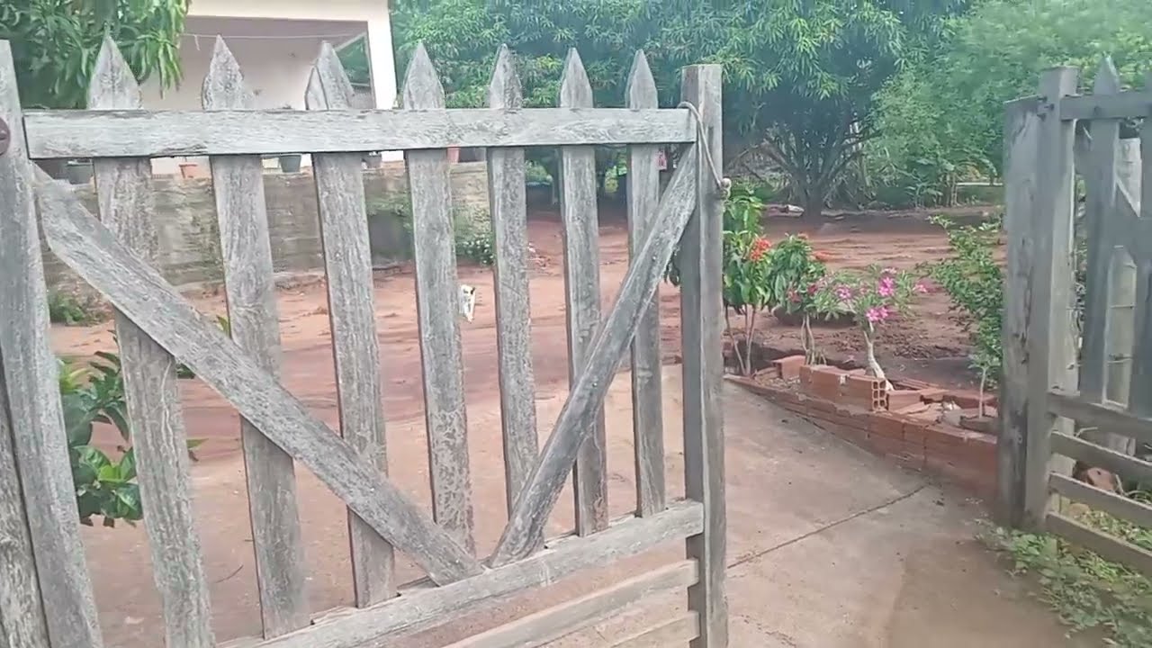 Descubra a paz na roça:  Rancho, caminho, riacho e frutos silvestres.