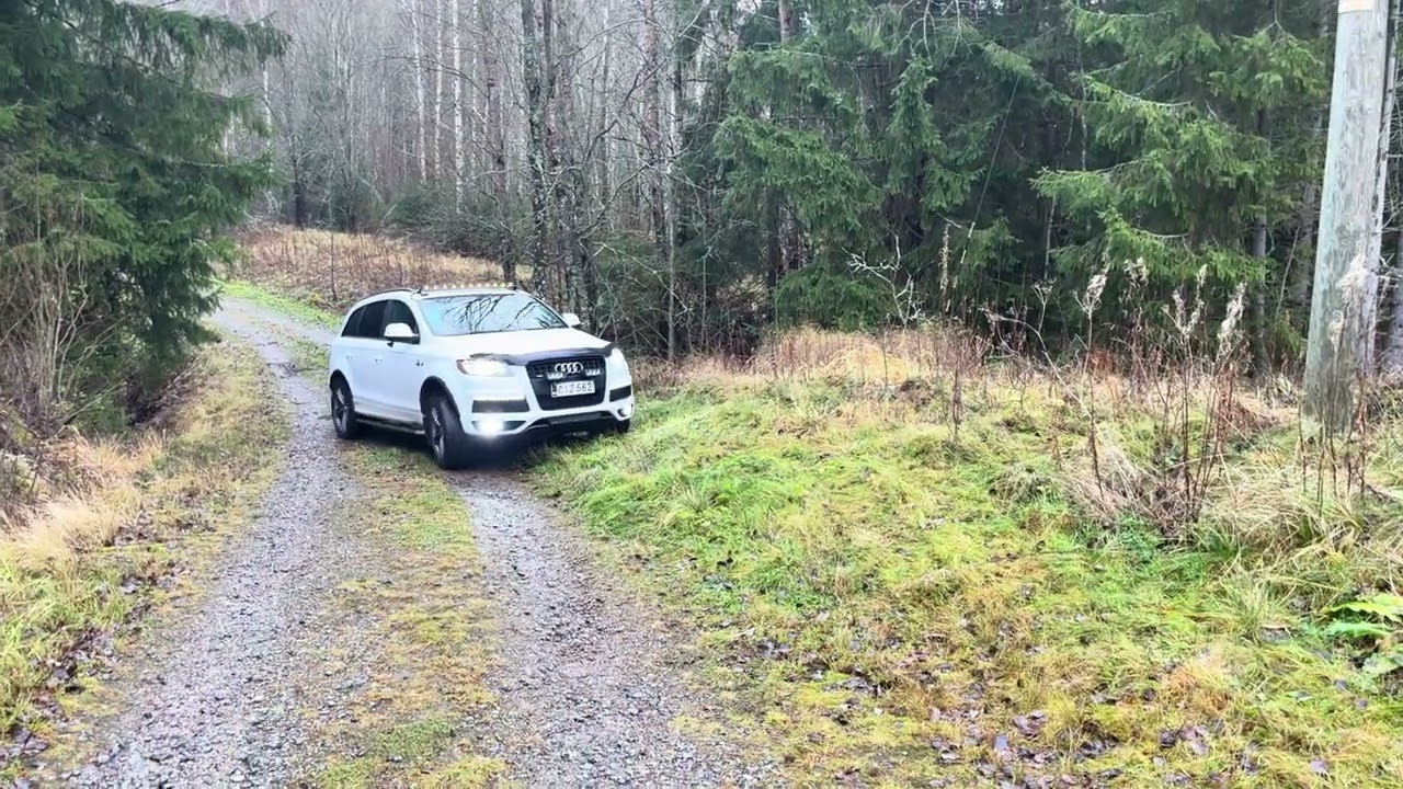 Audi Q7 4L 3.0 TDI. Test Quattro