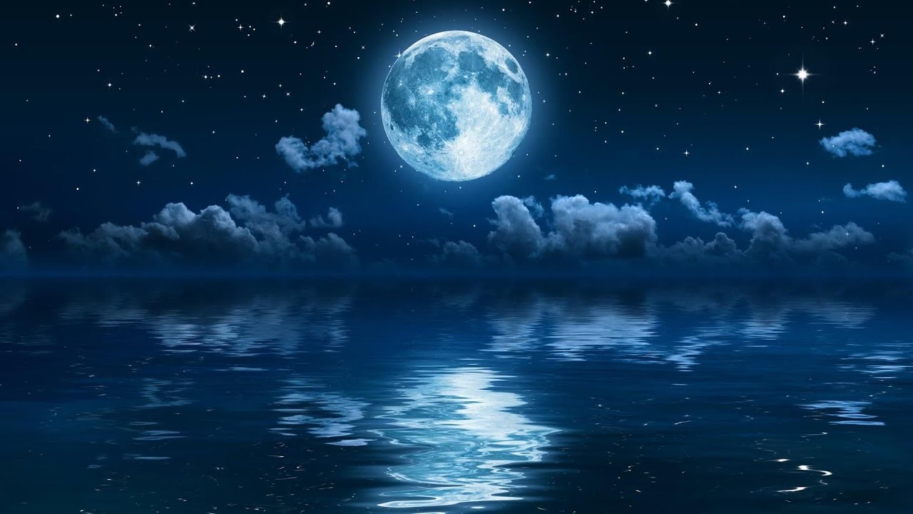 Nocturna | Meditation Music  🎧