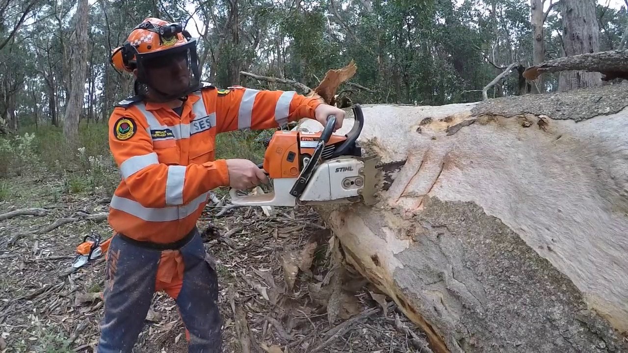 SES Cross Cut Training