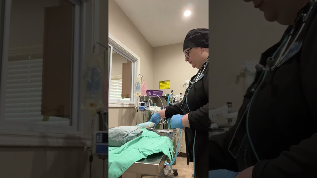 Penn Foster Vet Tech Externship 2 Skill 2