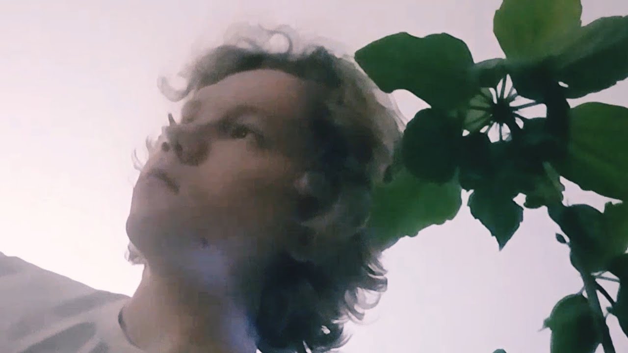 Vlad The Dandelion - Someone to Give (Official Visualizer)