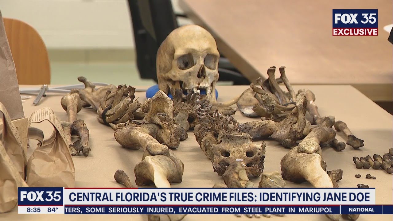 Forensic anthropologist reconstructs face of 'Jane Doe' from 1984 cold case
