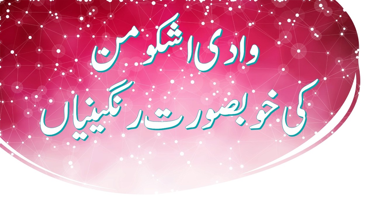 Ishkomen Blossoms for Moble Viewers