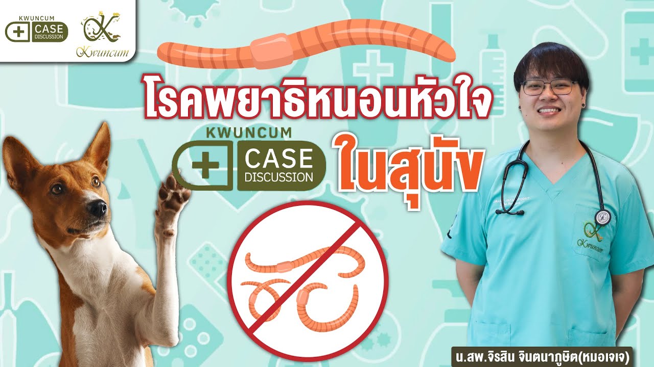 มาทำความรู้จัก 