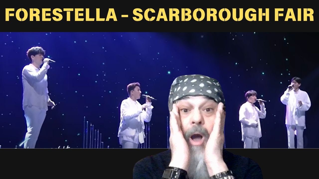 WOW BEAUTIFUL! - Metal Dude * Musician - (REACTION) - FORESTELLA - 