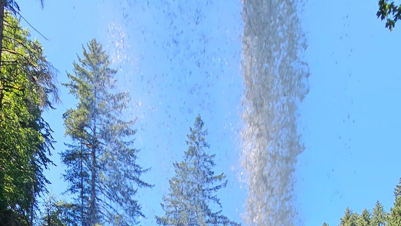 Waterfall Sleep Sounds: 3 Hours of Forest River Relaxation for Deep Rest 🌲💧💤