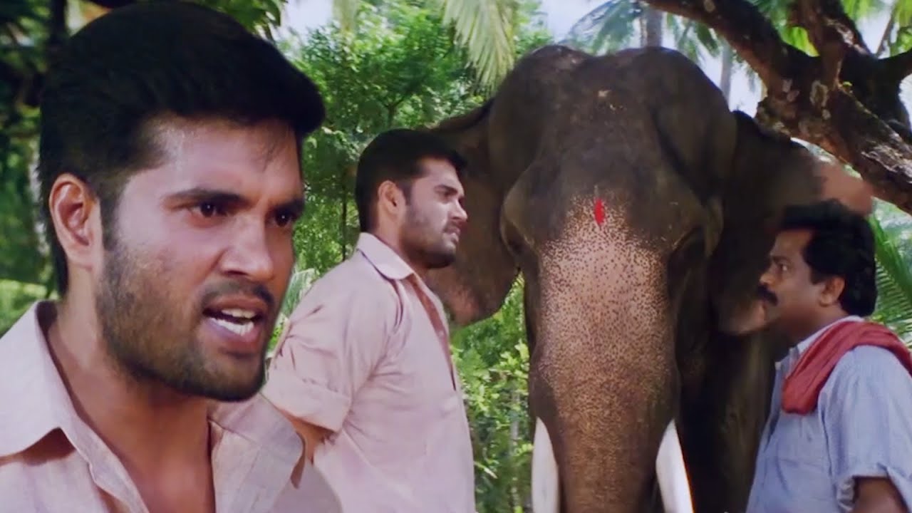 രാമനുണ്ണി ആനയെ കാണാനും വളർത്താനും തുടങ്ങിയിട്ട്‌ കാലം കൊറേ ആയി 🔥🔥 Mass Scene, Chandrolsavam Movie