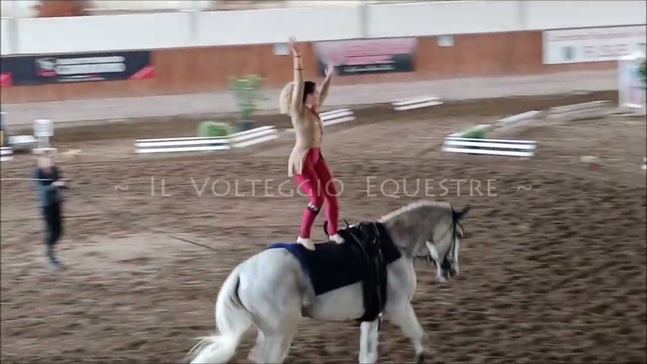 CVN Volteggio 2023 - ind 2* YV - Vittoria Sonego
