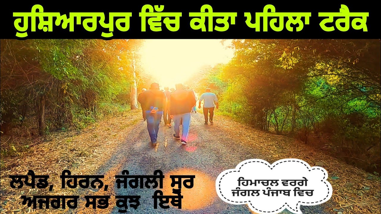 TREK IN HOSHIARPUR | FULL INFORMATION | ENJOY LIFE WITH SIDHU |  | D