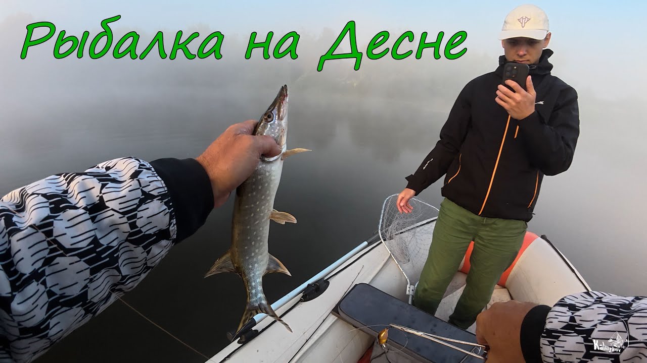 Рыбалка на Десне. Кренки