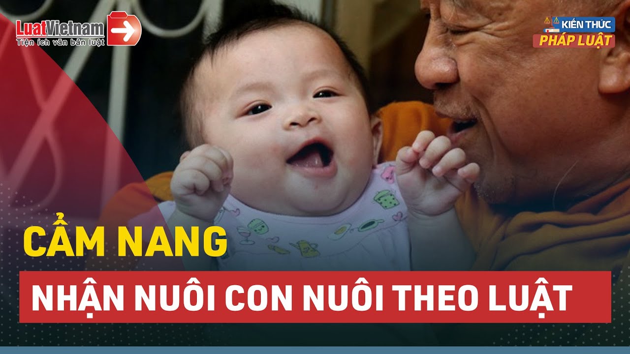 Cẩm Nang Pháp Lý Cho Những Ai Muốn Nhận Nuôi Con Nuôi | LuatVietnam