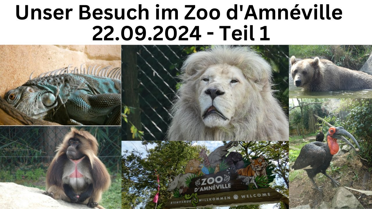 Unser Besuch im Zoo d'Amnéville / Frankreich am 22.09.2024 - Teil 1