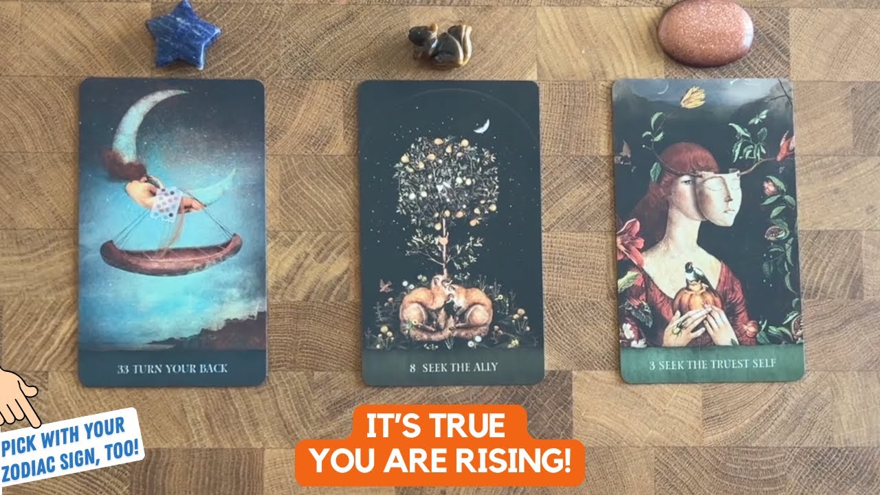 You're About To Rise Above Every Challenge! | Timeless Reading