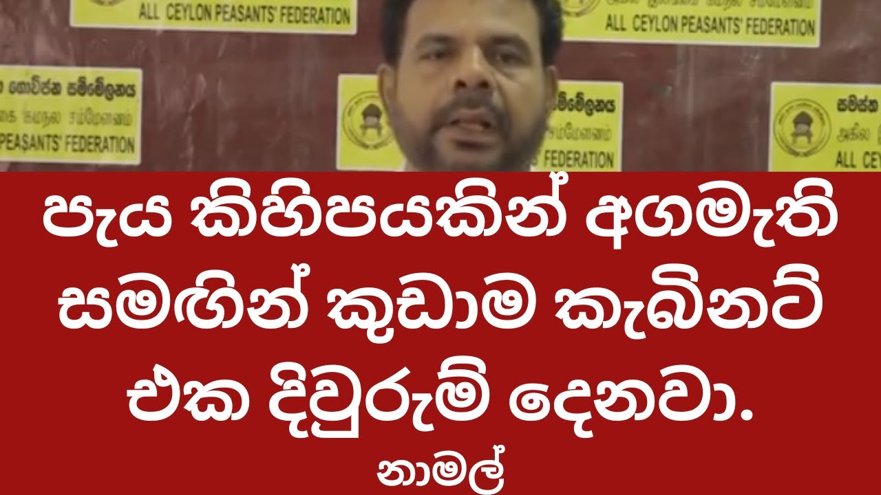 තව පැය කිහිපයකින් අගමැති, කැබින්ට් එක දිවුරුම් දෙනවා. -#npp
