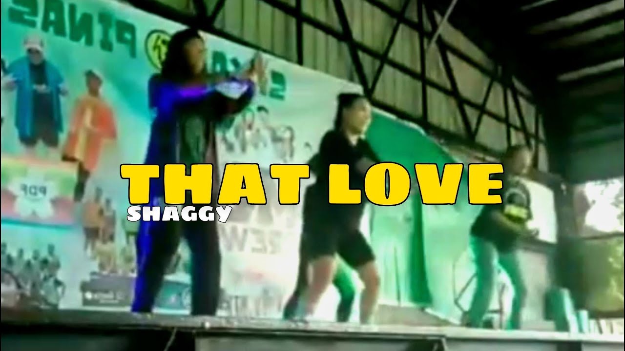 THAT LOVE - Shaggy | Dance by: Zin Nheng