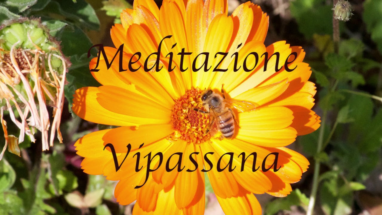 Meditazione Guidata Vipassana - Piero Urban