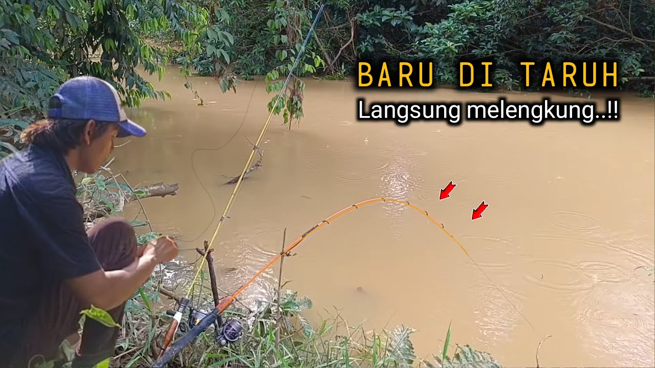 Ganas-Nya Bukan Main..!! Mancing di sungai air yg keruh umpan cacing dan usus ayam