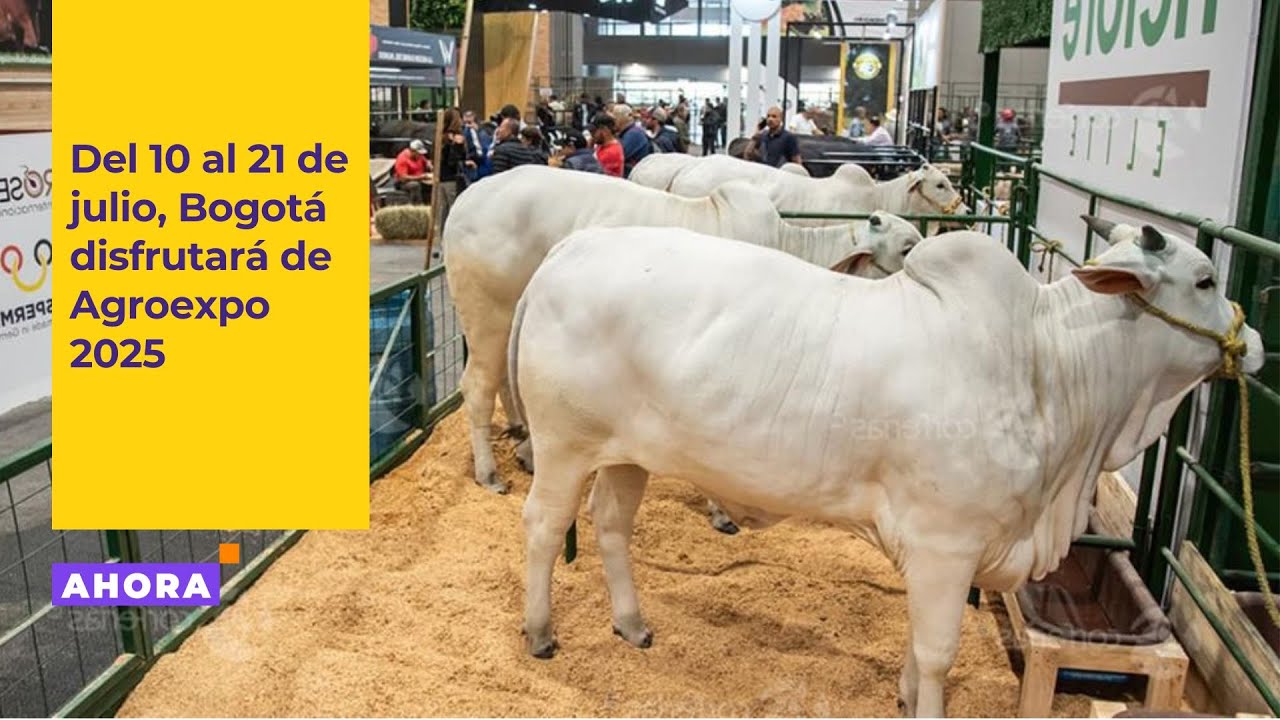 Bogotá dirá presente en Agroexpo 2025 con Protección y Bienestar Animal l Actualidad