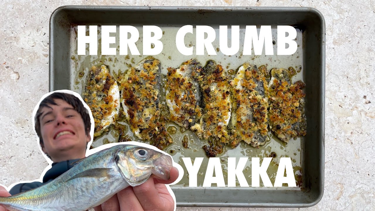 EATING BAIT? Yellow tail Yakka Spear Clean Cook