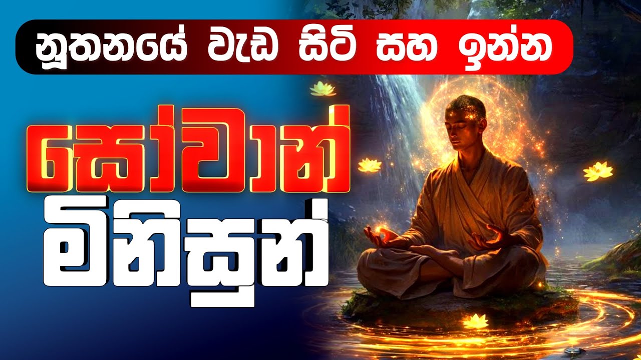 නූතනයේ සෝතාපන්නයන්ගේ හැසිරීම