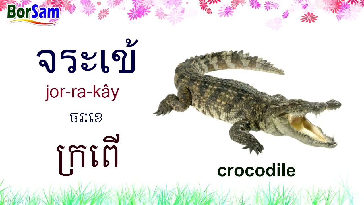 រៀនភាសាថៃ៖ ពាក្យទាក់ទងនឹងសត្វ - Learn Thai Vocabulary: Animals