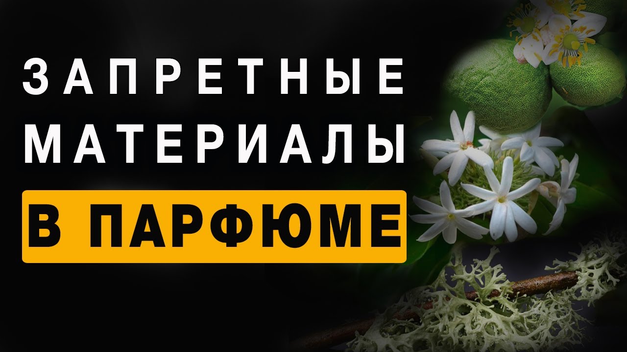 💧Запретные Материалы в Парфюмерии💧 IFRA 💧 Парфюмерия 2025💧
