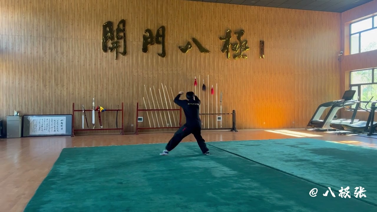 孟村吴氏开门八极拳 第九世传承人 吴昊 小架一路Baji Fist Form 1 by Wu Hao 9th Baji Quan Successor of Mengcun Wu Family Baji