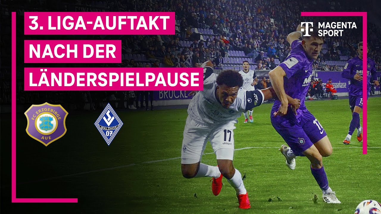 FC Erzgebirge Aue - SV Waldhof Mannheim, Highlights mit Live-Kommentar | 3. Liga | MAGENTA SPORT