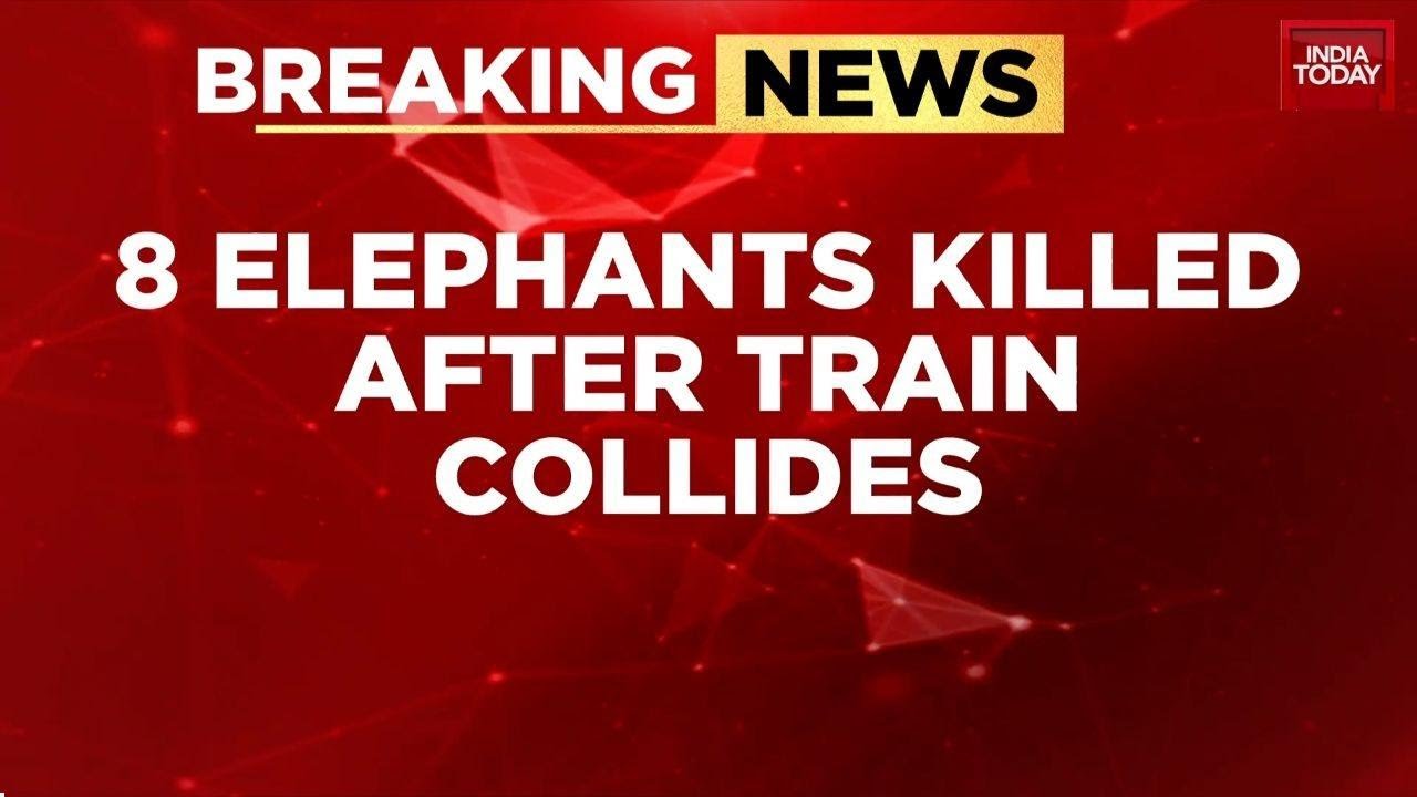 8 Elephants Killed as Rajdhani Express Derails in Assam, Wildlife Corridor Safety Under Scrutiny