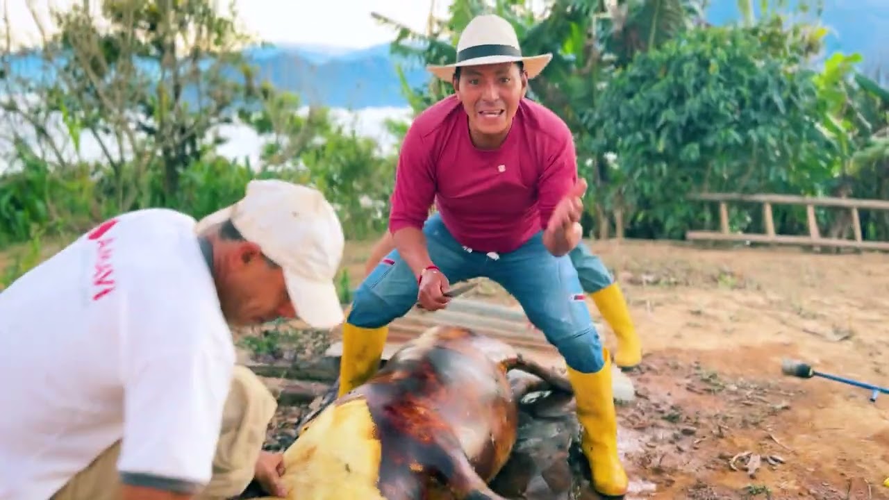 Tengo que entregar un chancho pelado y este es trabajito que hago tambi&eacute;n aqu&iacute;  en el campo