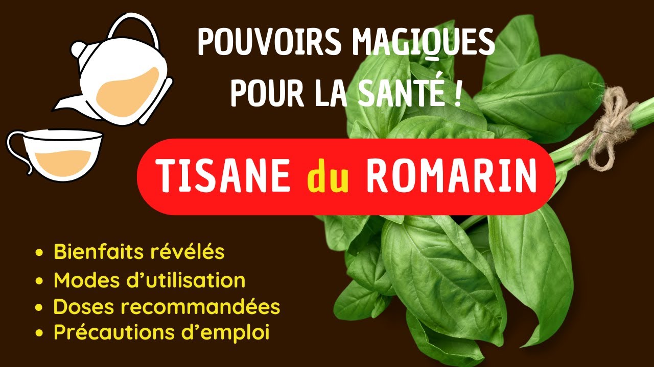 Pourquoi Tout le Monde Parle de la Tisane de Basilic ? D&eacute;couvrez Ses Bienfaits Cach&eacute;s !