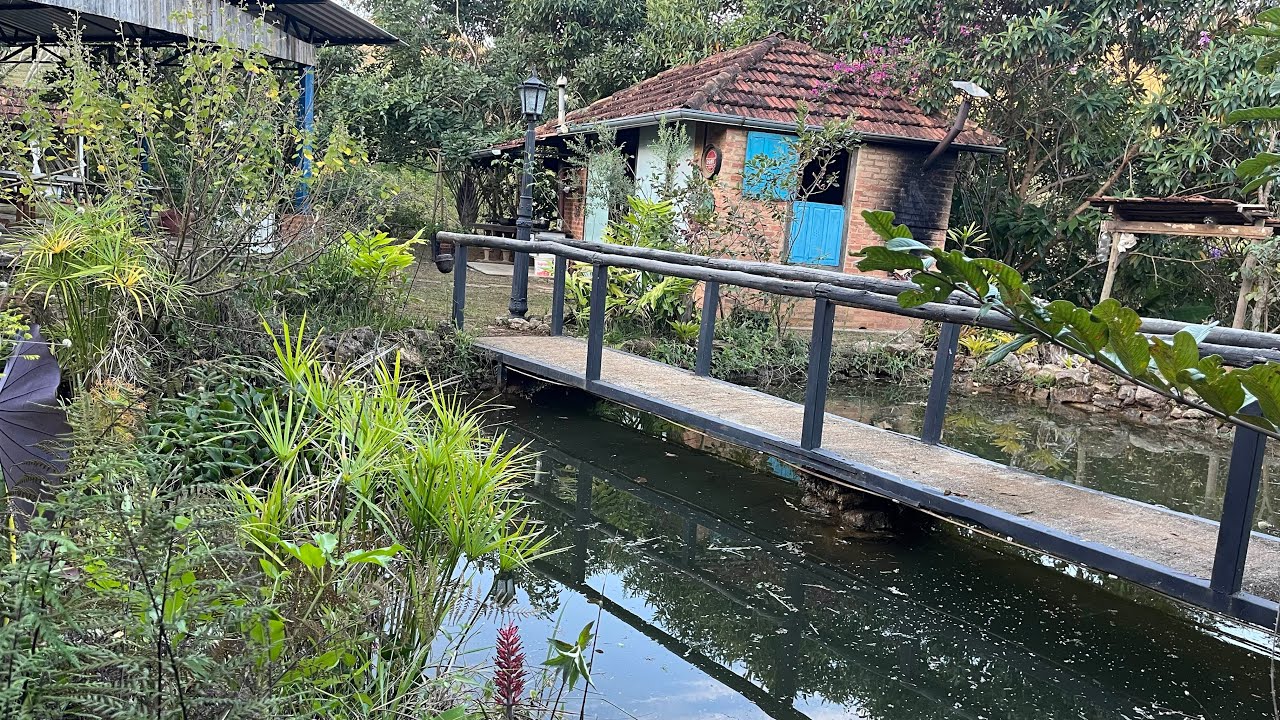 Limpeza e Paisagismo do Lago