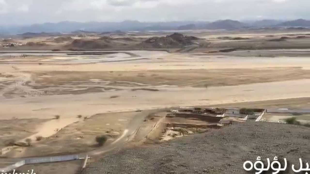 سيول ينبع النخل الثلاثاء 5/2/1437