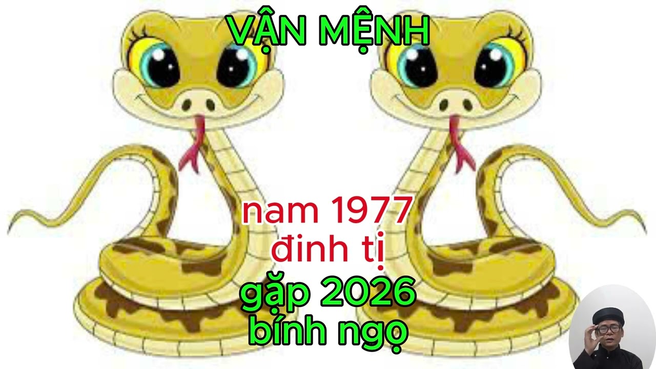 TỔNG QUAN TỐT XẤU NAM ĐINH TỴ 1977 gặp 2026 bính ngọ