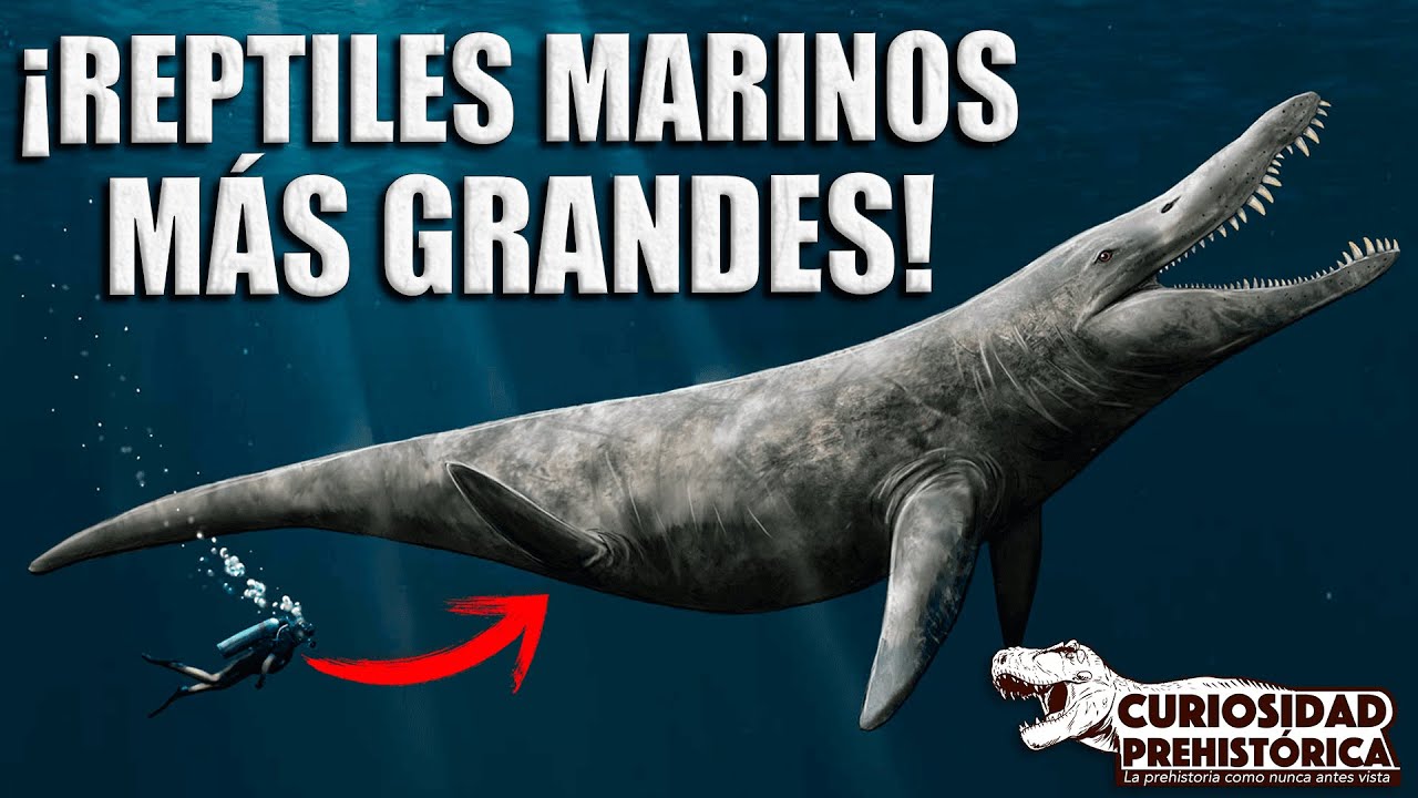 ¡LOS REPTILES MARINOS MÁS GRANDES DE LA PREHISTORIA!