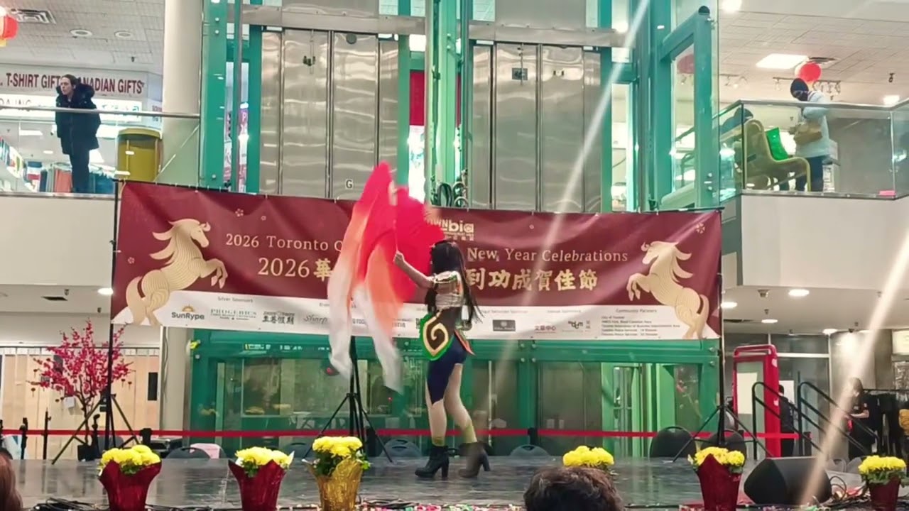 Lunar New Year in Chinatown Toronto 🇨🇳