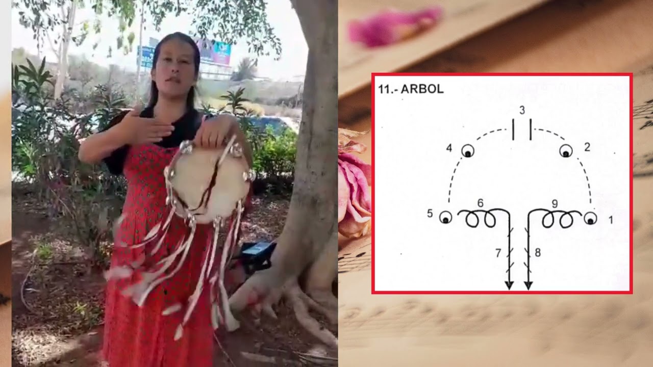 ÁRBOL_FUGURA DE LA PANDERETA