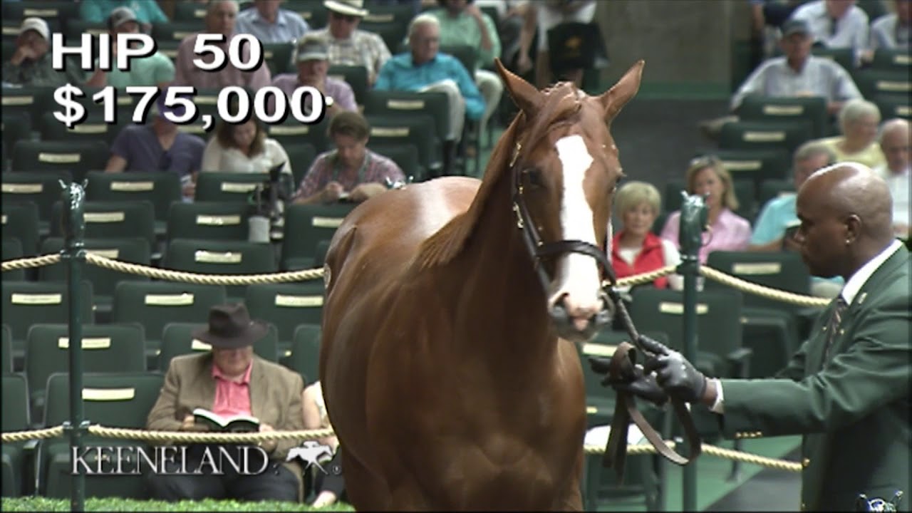Justify as a Keeneland September Yearling