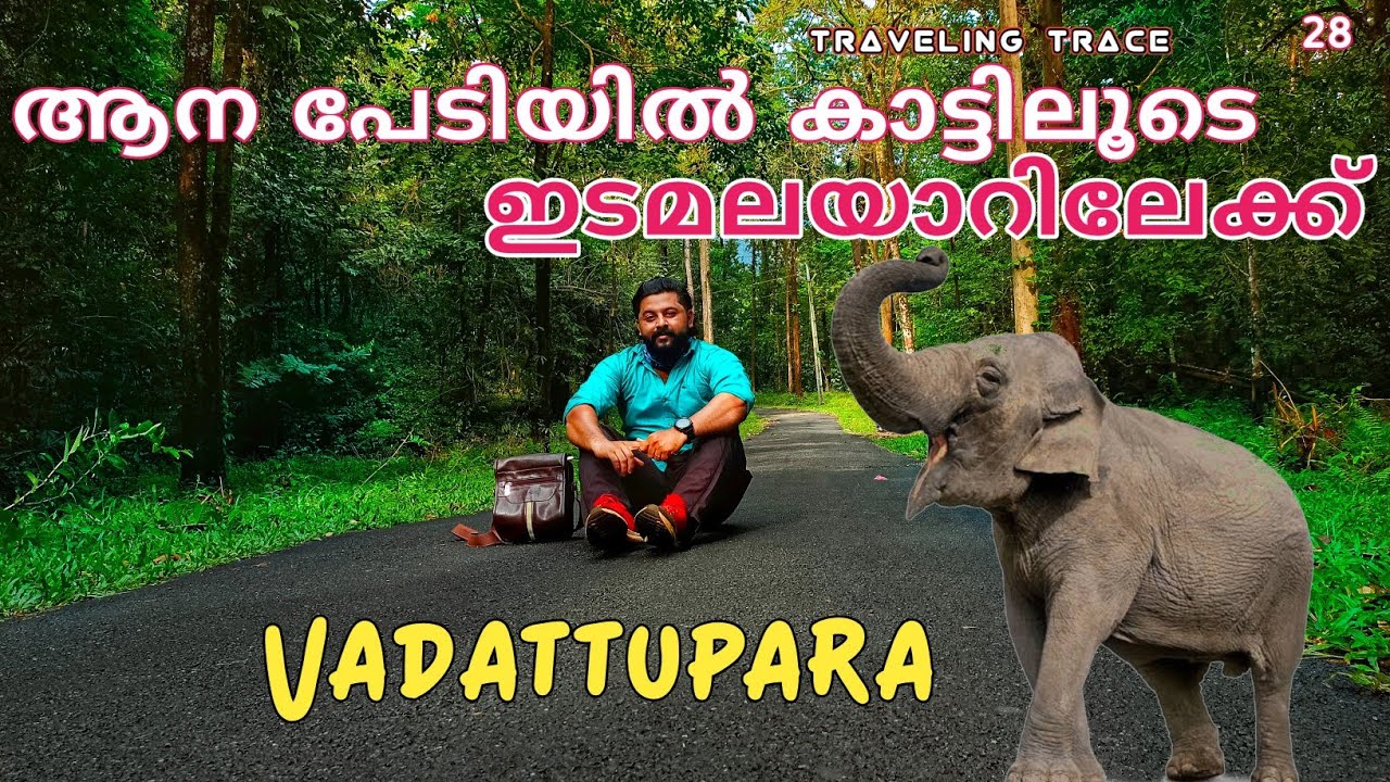 ആന പേടിയിൽ കാട്ടിലൂടെ ഇടമലയാറിലേക്ക്|Vadattupara|kothmangalam|Traveling Trace|