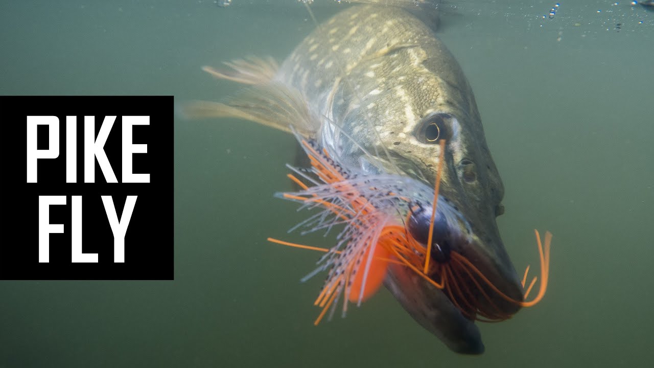 How to make JIG-FLY and CATCH PIKE on it?